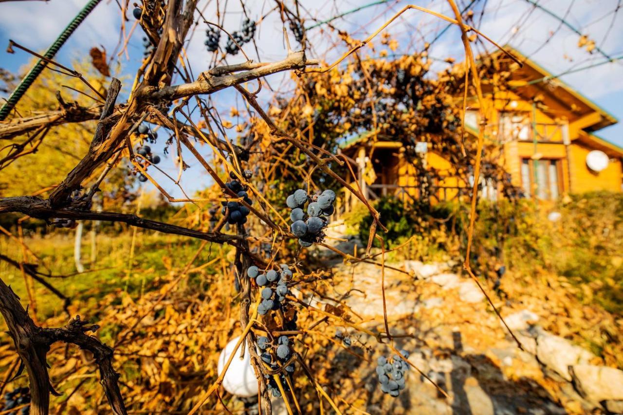 Country House Domik V Derevne Markovtsy  ภายนอก รูปภาพ