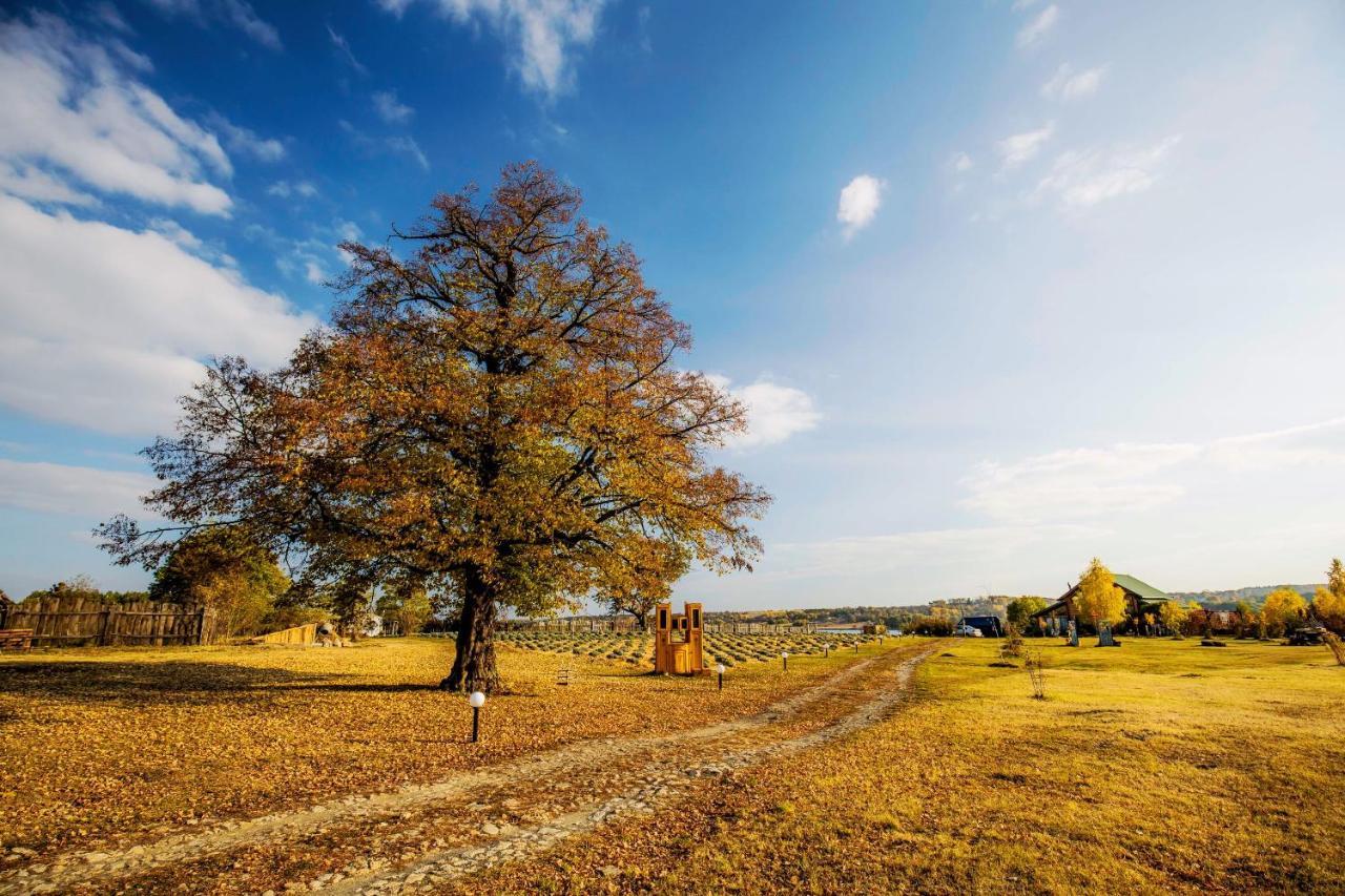 Country House Domik V Derevne Markovtsy  ภายนอก รูปภาพ
