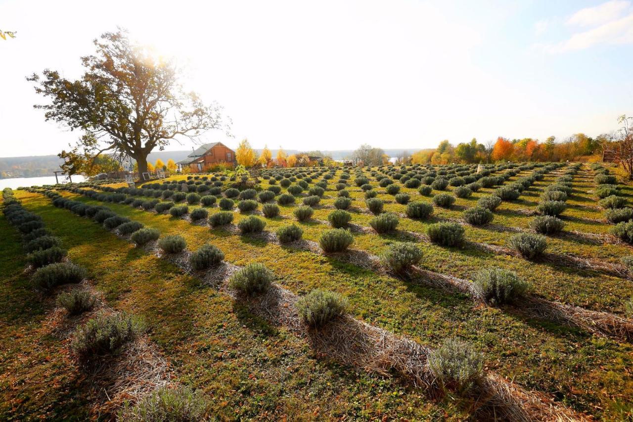 Country House Domik V Derevne Markovtsy  ภายนอก รูปภาพ